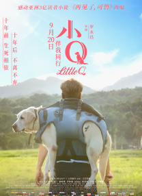 亚洲国产精品va在线看黑人动漫